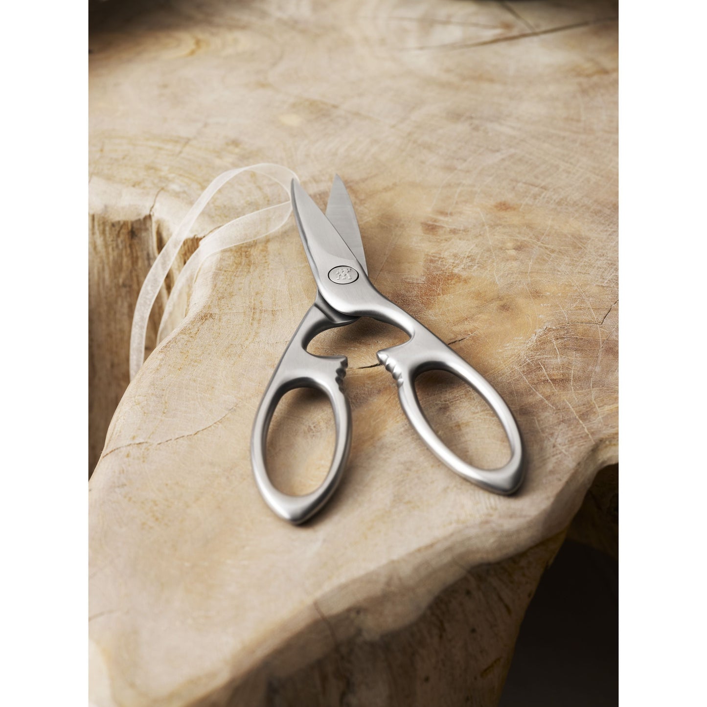 ZWILLING TWIN Select 20 Cm, Multi-Purpose Shears, Silver
