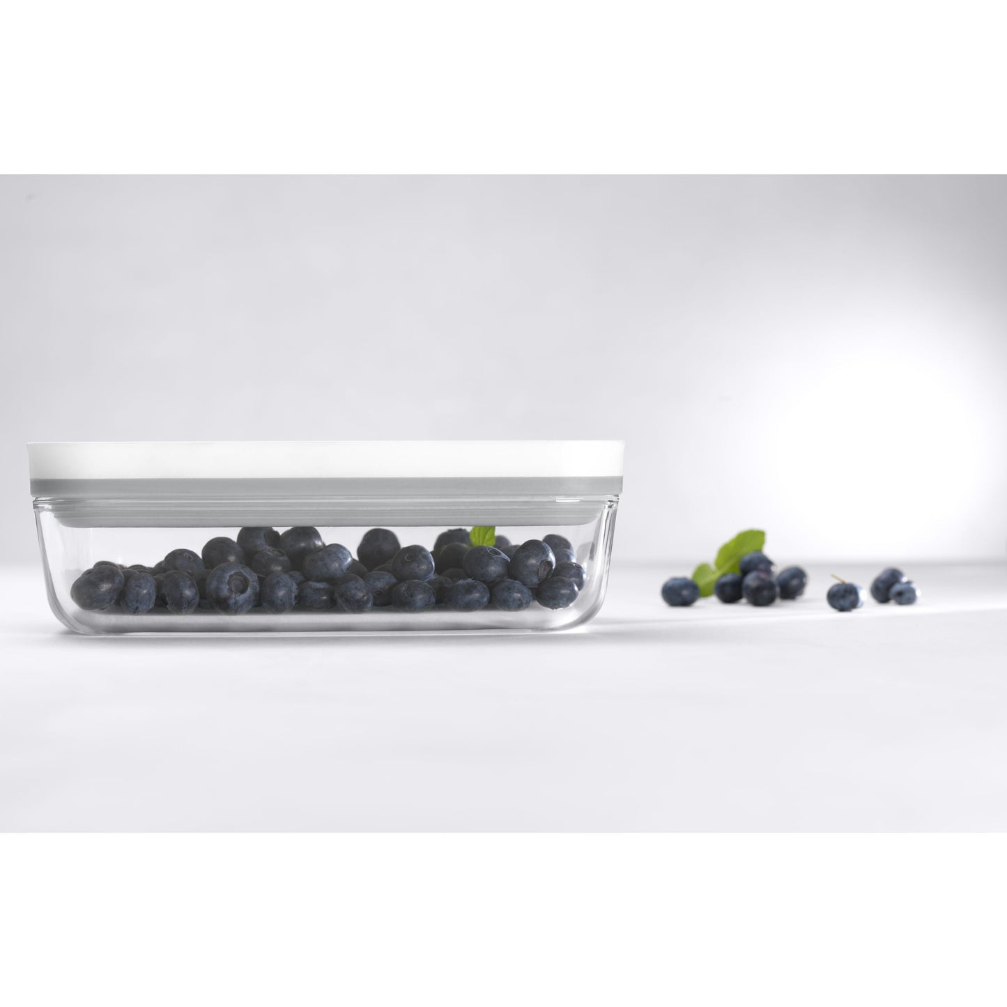ZWILLING Fresh & Save S Vacuum Box, Glass, Grey