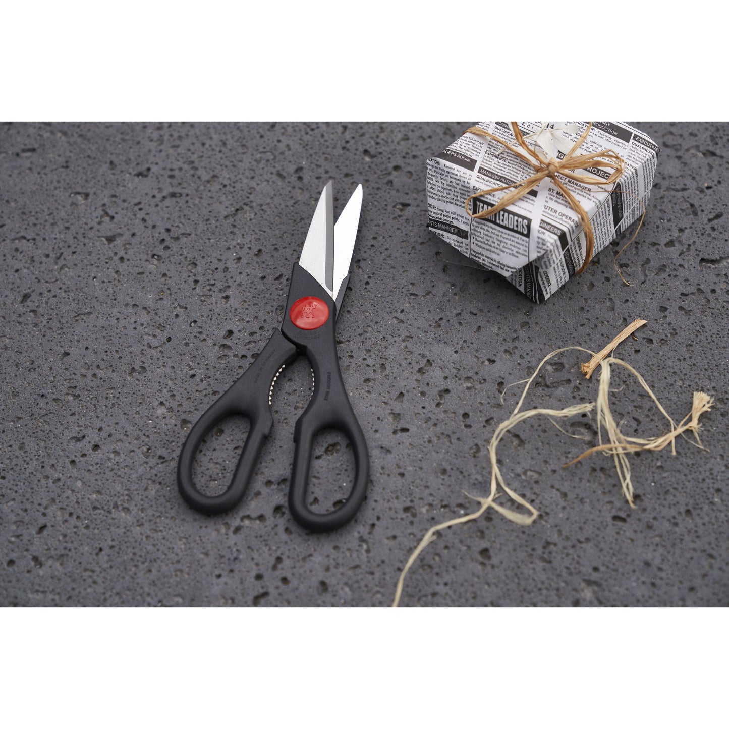 ZWILLING 20 Cm Multi-Purpose Shears