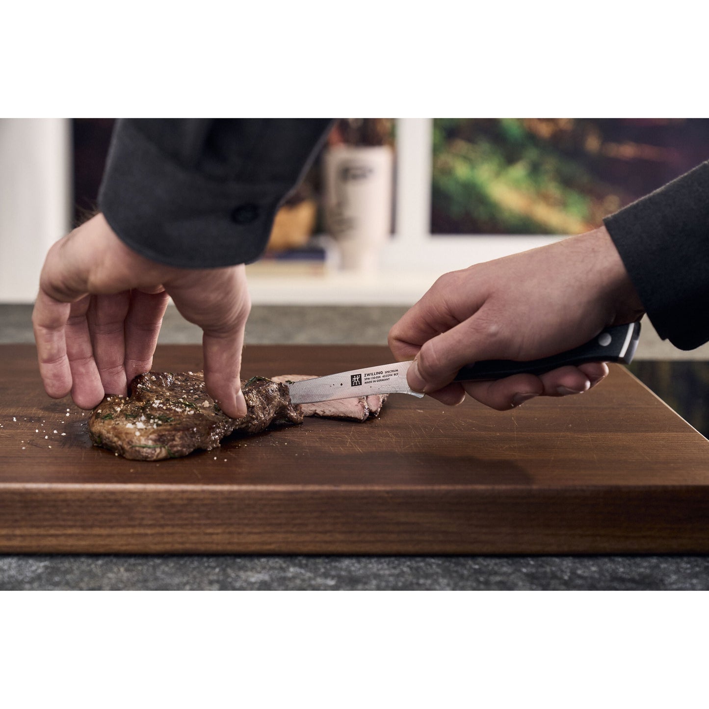 ZWILLING Spectrum 4 Piece, Steak Set