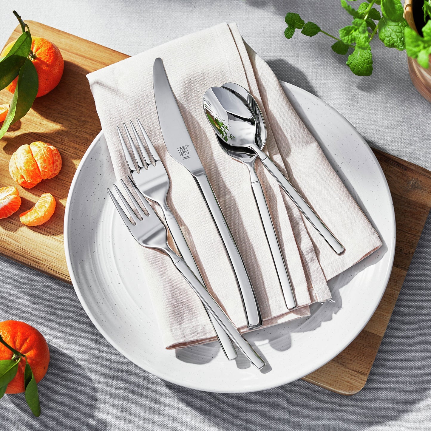 ZWILLING Opus 20 Piece Flatware Set Polished