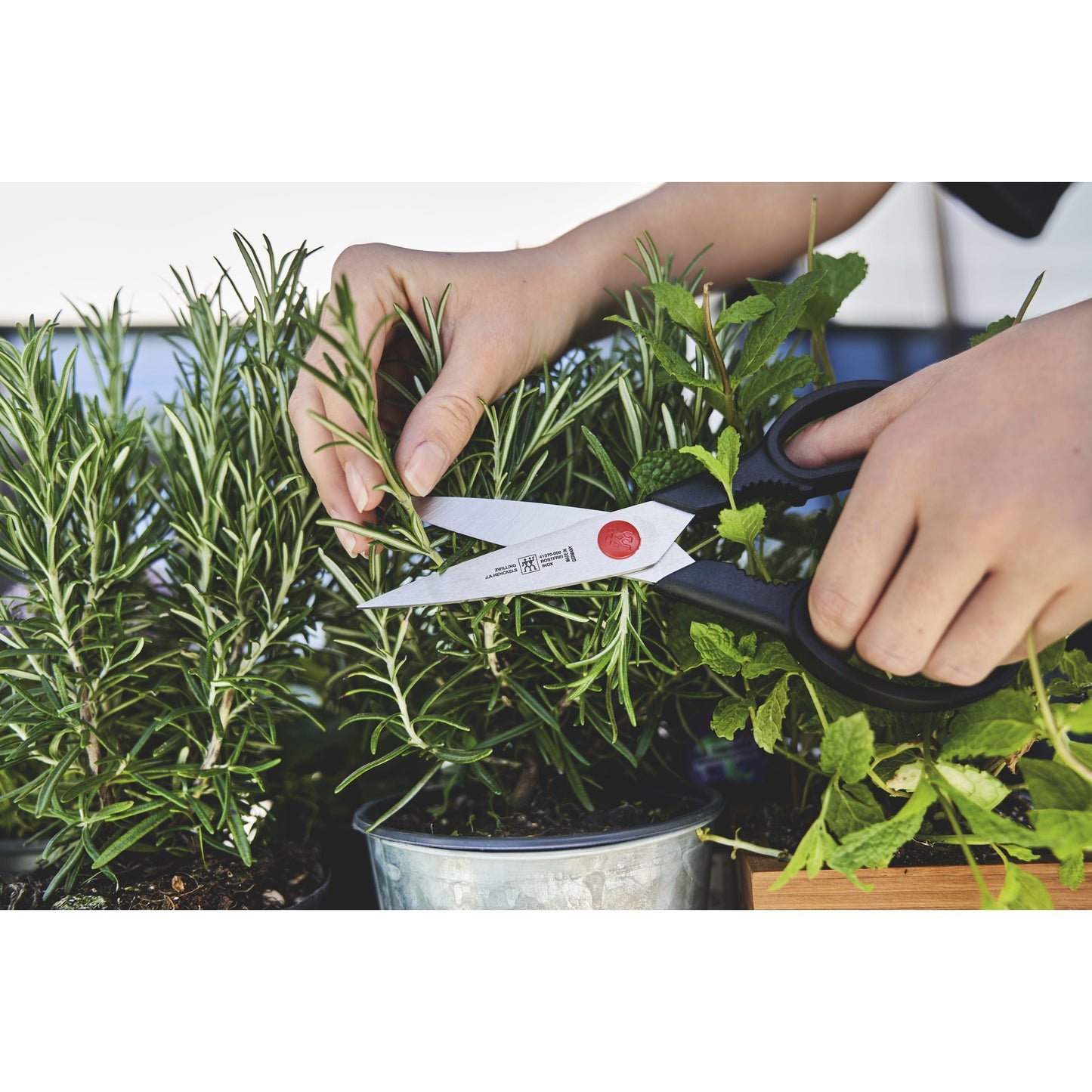 ZWILLING **** Four Star 7 Piece Knife Block Set, Nature