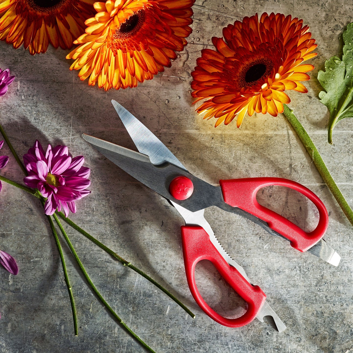 HENCKELS Kitchen Elements Multi-Purpose Shears, Red